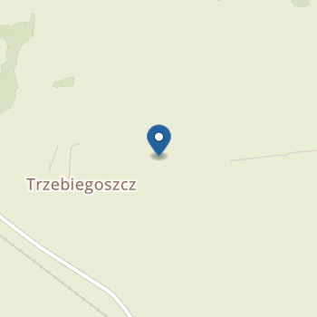 Punkt Przedszkolny w Trzebiegoszczu na mapie