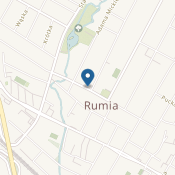 Niepubliczny Terapeutyczny Punkt Przedszkolny "Elfik" w Rumi na mapie