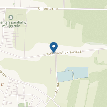 Przedszkole Niepubliczne Kids Place w Pajęcznie na mapie