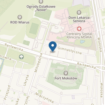 Blossom Anglojęzyczne Przedszkole Artystyczne na mapie