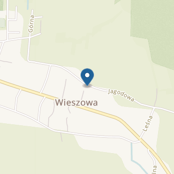 Punkt Przedszkolny przy Gminnym Przedszkolu nr 2 w Wieszowie na mapie