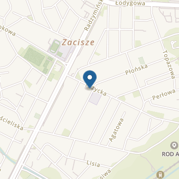 Niepubliczny Terapeutyczny Punkt Przedszkolny Kids World na mapie