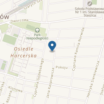 Punkt Przedszkolny Gumisiowy Świat na mapie