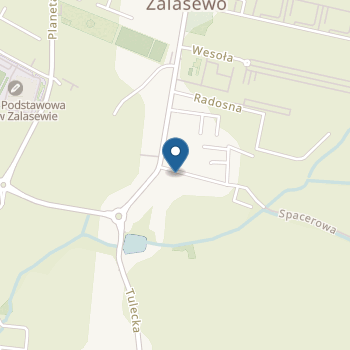 Przedszkole nr 1 "Malowany Konik" w Zalasewie na mapie