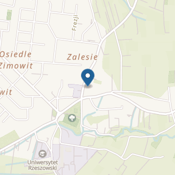 Niepubliczne Przedszkole Kraina Odkrywcy 2 w Rzeszowie na mapie