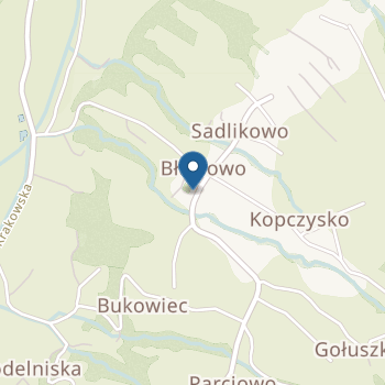 Niepubliczne Przedszkole "Jagódka" - Animaloterapia Paulina Podziewska na mapie