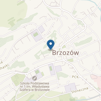 Przedszkole Specjalne w Specjalnym Ośrodku Szkolno-Wychowawczym im. Bł. Ks. B. Markiewicza w Brzozowie na mapie