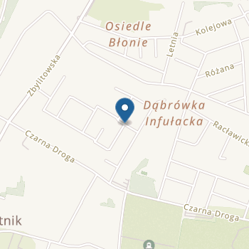 Niepubliczne Przedszkole Fun & Play w Tarnowie na mapie