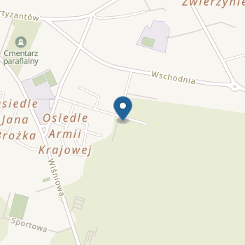 Niepubliczne Przedszkole Specjalne "Kolorowa Skarpetka" na mapie