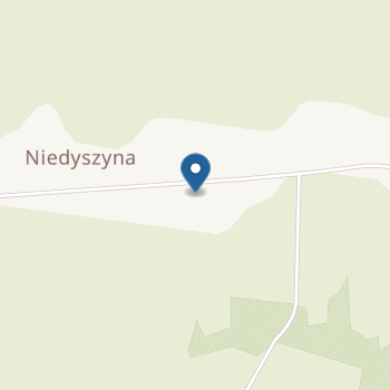 Gminne Przedszkole w Niedyszynie na mapie
