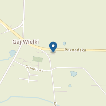 Zespół Szkolno-Przedszkolny w Bytyniu Publiczne Przedszkole w Gaju Wielkim na mapie