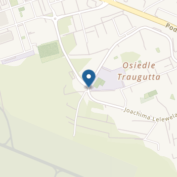 Niepubliczne Przedszkole Terapeutyczne "Hocki Klocki" na mapie