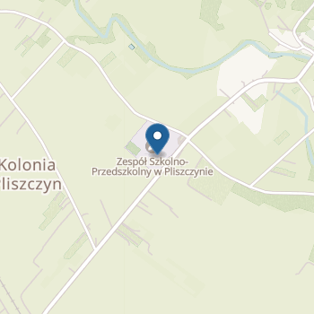 Samorzadowe Przedszkole "Pliszka" w Pliszczynie na mapie