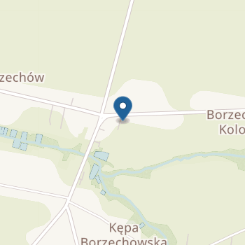 Przedszkole w Borzechowie na mapie