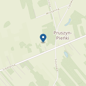 Niepubliczne Przedszkole Bajkowa Wyspa na mapie