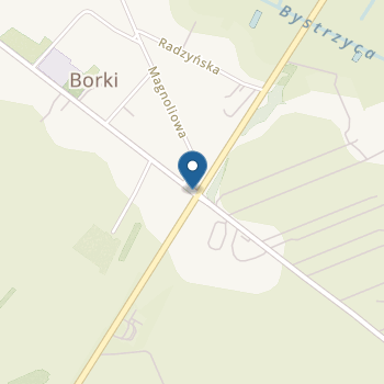 Publiczne Przedszkole w Borkach na mapie