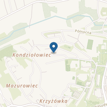 Niepubliczne Przedszkole Little Giants - Mali Giganci na mapie