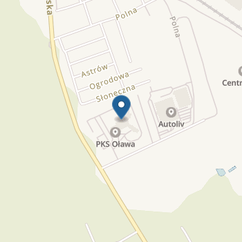 Niepubliczne Przedszkole Kolorowych Skrzatów na mapie