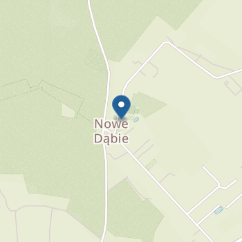 Niepubliczne Przedszkole w Nowym Dąbiu na mapie