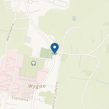 Niepubliczne Przedszkole Specjalne "Piotruś Pan" na mapie