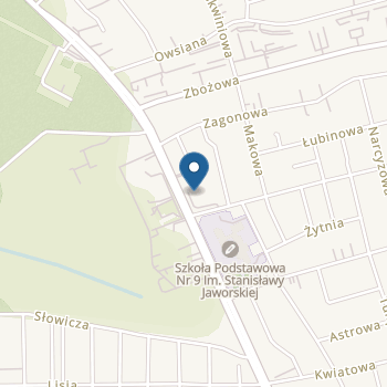 Terapeutyczny Punkt Przedszkolny. Dorotkowo - Punkt Przedszkolny na mapie