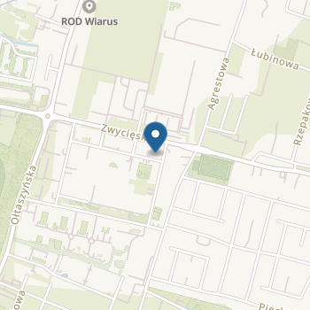 Young Leaders na mapie