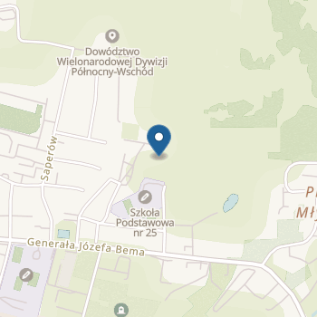 Dwujęzyczne Niepubliczne Przedszkole "Mieszko I" na mapie