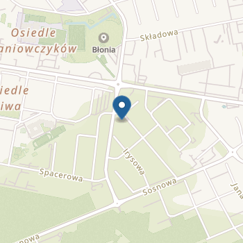 Niepubliczne Przedszkole Marchewkowe Pole na mapie