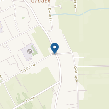 Vitautia - Niepubliczny Punkt Przedszkolny Do Zadań Specjalnych na mapie