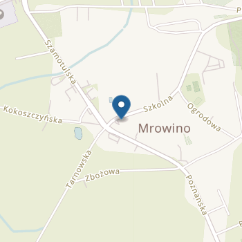 Przedszkole Zaczarowana Łąka w Mrowinie na mapie