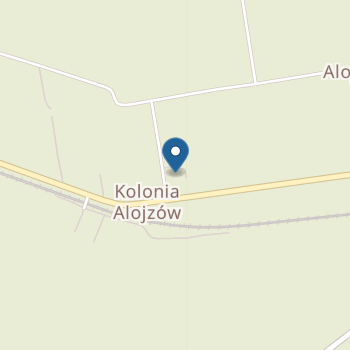 Niepubliczne Przedszkole Terapeutyczne "Lokomotywa" na mapie