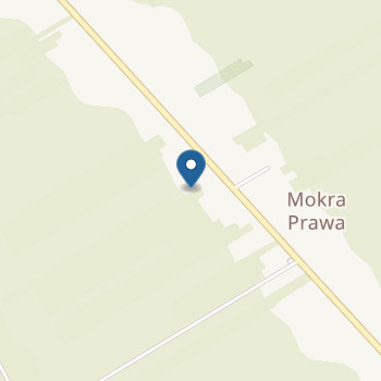 Niepubliczny Punkt Przedszkolny "Kraina Przyjaźni" – Niepubliczny Punkt Przedszkolny w Mokrej Prawej na mapie