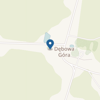 Niepubliczny Punkt Przedszkolny "Kraina Przyjaźni" – Niepubliczny Punkt Przedszkolny w Dębowej Górze na mapie