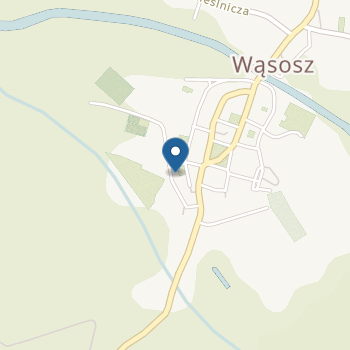 Przedszkole Specjalne w Wąsoszu w Specjalnym Ośrodku Szkolno-Wychowawczym im. Janusza Korczaka w Wąsoszu na mapie