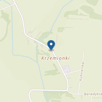 Niepubliczne Przedszkole "Radosne Skrzaty" na mapie