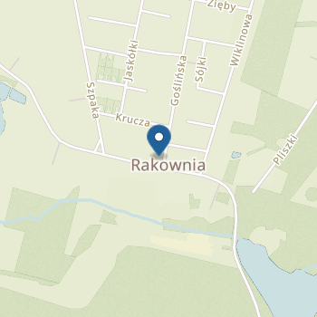 Przedszkole Niepubliczne Leśna Gromada na mapie