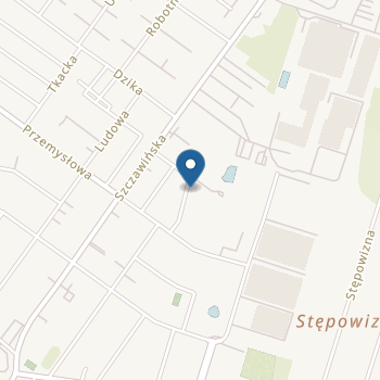 Niepubliczne Przedszkole Sportowo-Językowe "Guziczek" w Zgierzu na mapie