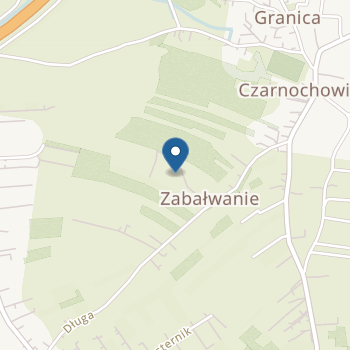 Niepubliczne Przedszkole Sportowo-Językowe Fair Play Barnehage w Czarnochowicach na mapie
