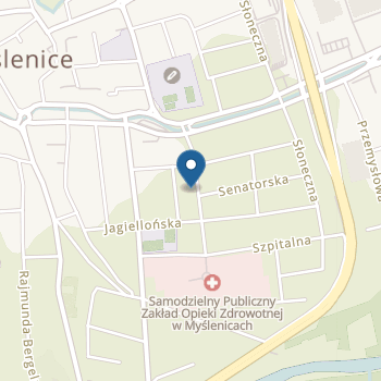 Niepubliczne Przedszkole "Bullerbyn" z Oddziałami Integracyjnymi na mapie