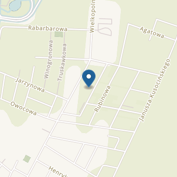 Integracyjny Punkt Przedszkolny "Odkrywcy" w Oleśnicy na mapie