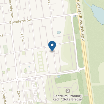 Niepubliczne Przedszkole Baśniowa Akademia na mapie