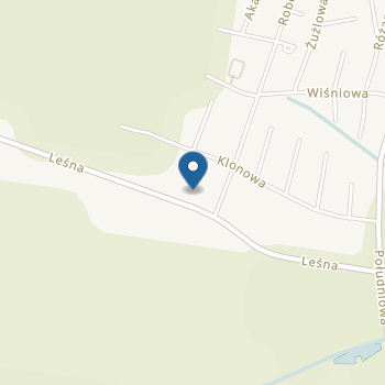 Niepubliczne Ekologiczne Przedszkole Integracyjne na Leśnej w Końskich na mapie