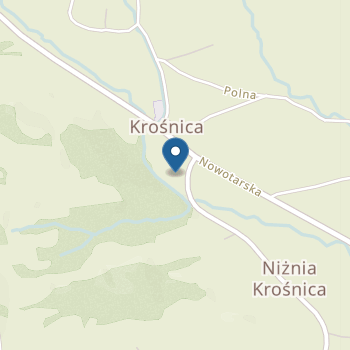 Niepubliczne Przedszkole Integracyjne "Pienińskie Skrzaty" na mapie