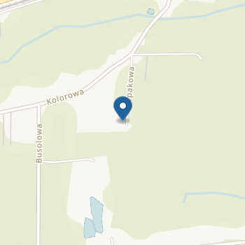 Niepubliczny Punkt Przedszkolny "Terapeutyczne Przedszkole Kolory Gwiazd" na mapie