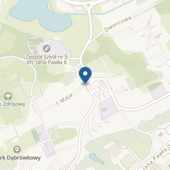Niepubliczne Przedszkole Terapeutyczne "Na Majowej" na mapie