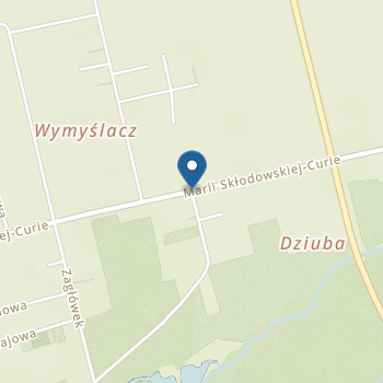 Niepubliczne Przedszkole Busy Bees na mapie