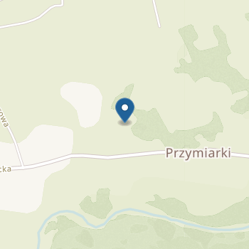 Niepubliczne Przedszkole Terapeutyczne "Przyjazny Świat" na mapie