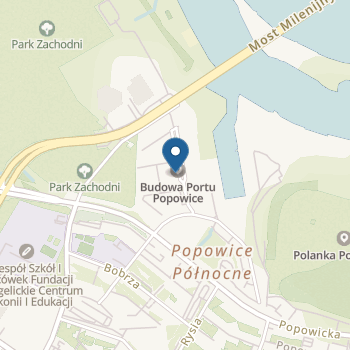 Niepubliczne Przedszkole Norlandia na mapie