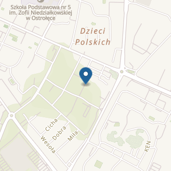 Niepubliczne Specjalne Przedszkole Kwiatuszkowo na mapie