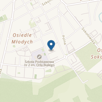 Przedszkole Specjalne Zespół Szkół nr 3 w Golubiu-Dobrzyniu na mapie